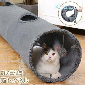 Lbggl _炩f ^ ܂肽ݎ XG[h O[ 2t Uʕt Lgl  JVJV ybgpi ˂ lR Lpi ߋ V g[jO  