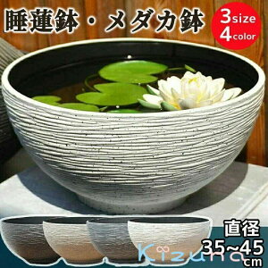 @ XC _J   ^ 45 vX`bN  ۔ 甫  y ɂ  O  A 1