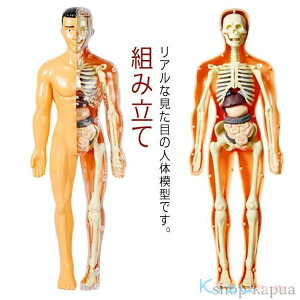 yzl̖͌^ i͌^ U ̖͌^ ߋ  f mߋ l̃pY LbY gݗ   t wKLbg