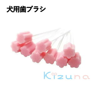  L X|W uV100{Zbg  ĝ   _炩 h ʕ \tg ybgp p V L̎uV Η\h   sp gїp ӂ 