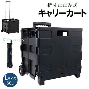 L[J[g  LTCY 60L ܂肽 Rei^ ^ WȂ AEghA Lv  VbsO X|[c W[ s