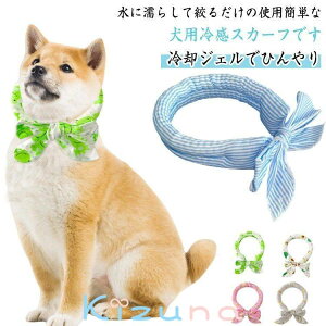 킢 4Zbg  p XJ[t  p Ԏ ybg Ђ  O ACXlbN 4Zbg MǑ΍ ۗ  ⊴ p WF ΍ ^ ^ 