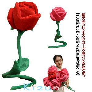 v[g oYj ԑ  100cm o  傫 t[ t[u[P  u[P [Yu[P ou[P  킢 NX}X ̓ j Mtg CeAG