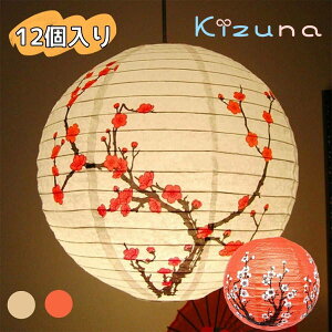 12Zbg  ~  傤 ~  a t y[p[^ ~ ی^ ԉΑ čՂ ^ Xܗp̂  Ղ p