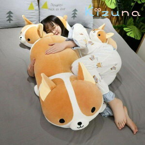 ʂ   R[M[ 傫TCY 킢  ObY ӂӂ  ܂ Aj} NbV a 蕨 v[g Mtg 80cm