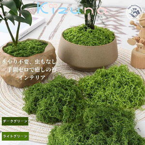 DIY|f zAlHۃ}bg tFCNO[ ~́EϗtAp plH lHX}bg ~j`A뉀EeEE