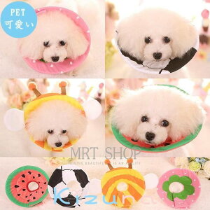 GUxXJ[ \tgGUxXJ[ Lp p \p ybg y 炩 r r h~ ی S M L XL 킢  ^p ߉\ y ȕz _炩 pi pPA 