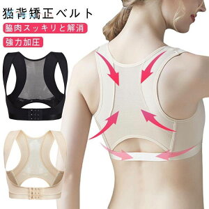 w؋xg Lw  pT|[^[ Ci[   Lwxg bV ڗȂ pP  ͉ eɂȂ P xg w؃T|[^[ Lwxg p