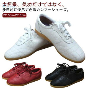 Y p Jt[V[Y ɌV[Y vC fB[X  Kp Xj[J[ [Jbg ɌV[Y ʋC悢 RtH[g _炩 U[ ~ [XAbv 