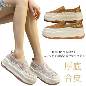 q[5Z`  ₷ Xb| Ȃ LL rW[ fB[X _炩 Xg[ TCY r [Jbg Cq[ 傫TCY l 5cmq[ C Xj[J[