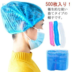 wALbv ĝ 500 Ɩp sDz V[Lbv ĝ Xq Lbv p Lb`Lbv v[c^Cv Ȃ ʋC  q H  e@ H 