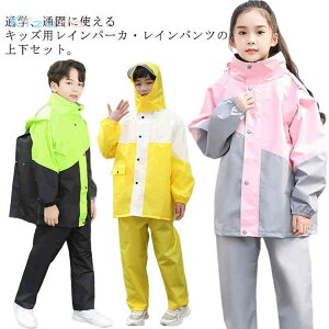 h CX[c LbY Jbp Cpc Cp[J[ LbY y hZΉ ㉺Zbg Cp[J[ qp w w J CR[g H CX[c ʊw 