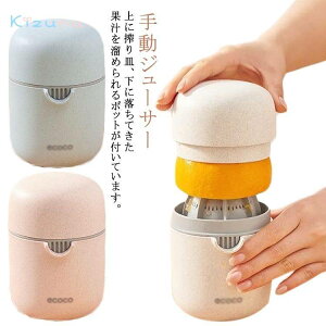 i O[vt[c XNC[U[ ʏ`i  ʎi t[cڂ v[g nhW[T[  i IWW[T[ 蓮W[T[ IW