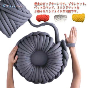 `L[jbg 500g [ `L[[ uPbg jbg[ _炩 ɑю ю | ҂ݕ  ɑ diy nhCh [ CX^f SNS CeA JE` 