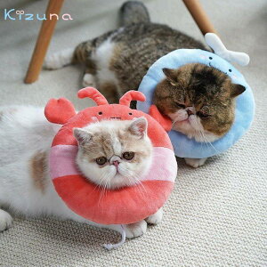  GUxXJ[ S6color Lp  p ybg EFA  ^ ObY \tg _炩 ӂӂ NbV y p  ی  rߖh~ ~h~ p  