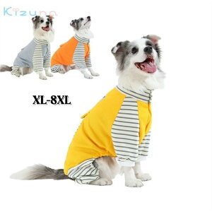  ^ ^  ~p h l hbOEFA ybg̕ uh[ S[fg[o[  N p[X   ybgpRXv L[g Be 