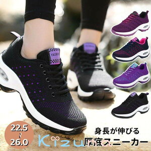  Xb| fB[X Xj[J[ i[XV[Y _CGbg Xj[J[Xb| jO EH[LO V[Y W ₷ Ȃ y  C Ōt 