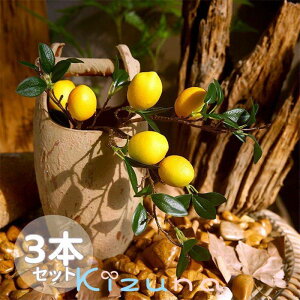  3{Zbg Lemon   tFCN t[ ͂Ȃ  t ^yXg[ rO  CeA A[gt[ ؍ k  Q ItBX X JE^[ a