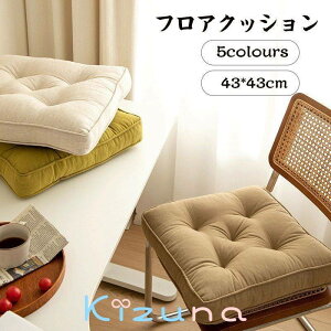  tANbV zc NbV `FANbV ֎qp _CjO`FA fXN[N n43cm Ƌ K _炩 k ̖͗lւ  _CjO l