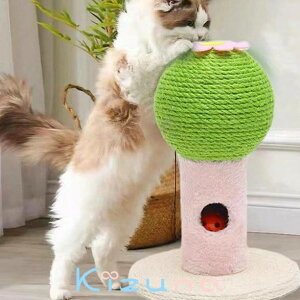  Lbg^[ JN^X T{e^Cv T{e ̃T{e {[ ܂Ƃ ܂Ƃ|[ L ˂  ybgp   Vn XgXU ^s