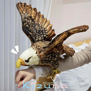  ʂ V    Aȃ^J CeA j ޏ Mtg ̎q q    킢 ޏ ӂӂŖ _炩 Sn 3TCY 