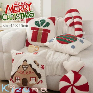 NX}X NbVJo[ 45x45cm 8F ґ  NbV Jo[ zcJo[ ӂӂ _炩 \t@w k \t@ ƒp ItBX ֎q ԓ Q rO Ɩp