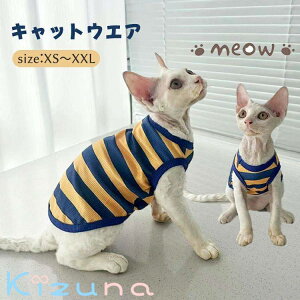 LbgEFA  XgCv oCJ[  L _炩  [EFA CX^f f{bNX XtBNXL ArVjA ybgEFA ^Ngbv t  H 