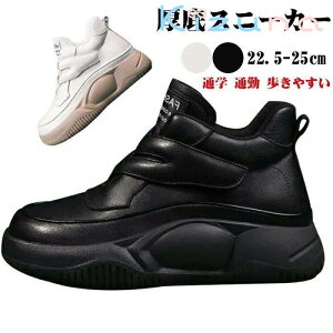 Xj[J[ fB[X Xj[J[ }WbNe[v EH[LOV[Y t@bV ʋC Ȃ ₷ gAbv EH[LOV[Y L ~߂ƑϖՐ r 