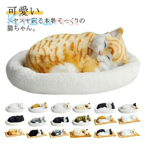 ċzĖ郊AȔL̂ʂ ˂ ʂ A {  ybg ₷▰ ㉺  ybgX xbht AM[   Aj}  Aj}