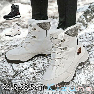 Xm[u[c fB[X  Ȃ Xm[V[Y Y u[c h Xj[J[ N EB^[u[c hC C  h ۉ  ~  u[c g 