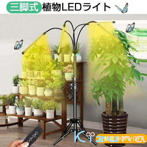 A琬Cg LED X^h4 ^C}[ Or A琬LED usb ϗtA琬Cg ACg A琬 gtXyNg 10Ki 80LEDv z 4wbht ͔|Cg k