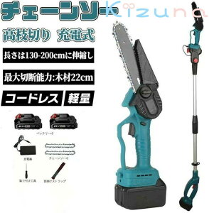 高枝 充電式 電動ノコギリ 高枝切り電動 高所 高枝切り ハンドチェンソー 小型 庭木 剪定 ハンディチェンソー マキタ 充電式 ハンディーチェンソー 電動 2way