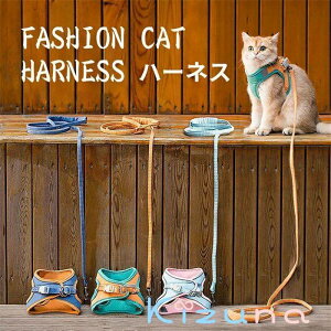  n[lX xXg^ \tgn[lX \tg [hZbg L Lpn[lX ˂lRqL Ȃ }WbNe[v h~ Lp т Up o ʉ@ ȒP 