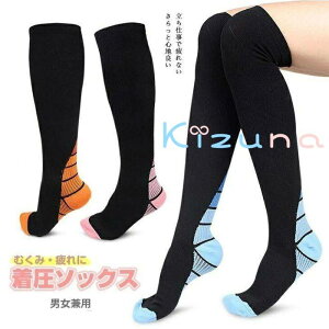 e XgbLO X|[cnC\bNX jp\bNX ނ݃T|[^[ e XgbLO Y fB[X nC\bNX t  H ~ r