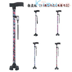    l_   y p   s⏕ fB[X  Lk Lk XebL  ԕ 11iK nr fB[X  hV̓ ̓ a v[