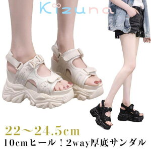 T_ fB[X 2way T_ 10cmq[ X|[cT_ C V[Y ₷ Eɂ ₷ xgt obNxg ɂ ᔽ C\[ 22cm`24.5cm R