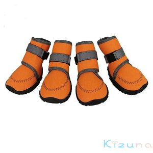  C hbOV[Y hbOu[c p  }WbNe[v EȂ ϋv ~ ₷ \tg V[Y ^ ^ U o h h~ ی   Vj