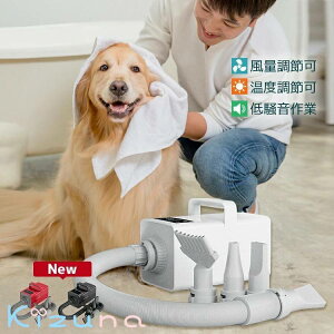 Petmoon Fǉ ybgp hC[ ╗  PSEF hC[ ybg wAhC[  ^ ɍœK u[ u[ ጸ x\ L  p hC[ 4