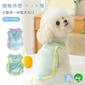 ^ ^ N[EFA ^Ngbv t   L ڐG⊴ ʋC DOt ybg Ȃ hbOEGA Lbg bV ΍ Ђ  K   EȒP y