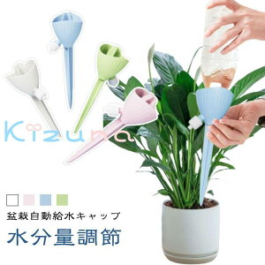  ybg{g Lbv 蓖  4/612Zbg @ ƒp       Up ϗtA   ybg{g 