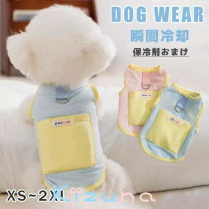  EFA ĕ ybg ۗܕt N[ N[xXg ₽  hbOEGA ̕ ΍ E₷ ڐG⊴ ^ ^ ʋCQ pi  MǑ΍   