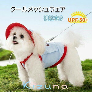 ۗܕt  EFA ĕ ۗܕt N[ Oh~ Ђ ⊴ ڐG⊴ ʋCQ ^ ^ ΍ MǑ΍ Ăh~ ₦ ₷  {^t v[