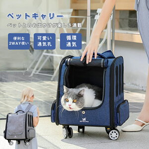 yN[|p8280~IzybgL[ bN LX^[t ܂肽 2way ʋC LpybgL[obO L Lp L[ J[g  ^ ybg bNL[o