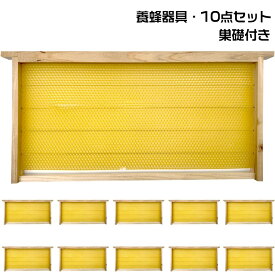 【楽天1位受賞】＼1点5％OFF&2点1500円OFF／養蜂器具 10点セット 完成巣枠 巣礎付き スソ付き 巣礎 10枚 蜂の巣 蜜蜂 セイヨウミツバチ シート ラ式 ミツバチ用 養蜂設備 養蜂用具 蜂蜜箱 飼育 養蜂ツール 杉材 家養蜂箱キット 48.8*23.5cm
