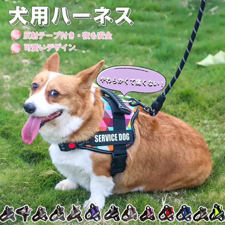 楽天市場】犬 ハーネス 迷子札 胴輪 抜けない 簡単装着 イニシャル 
