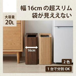 �_SALE 1�_5��OFF 2�_10��OFF�^���ݔ� ���݂΂� �S�~�� ���O trash can ���� ������� �S�~�܂������Ȃ� �X�����^ �r�j�[���܉B�� 20L �V���v�� ���r���O �L�b�`�� ���ʏ� �L�b�`���p �I�t�B�X �t�^��