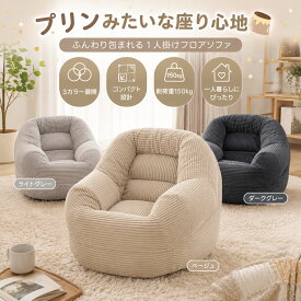 【単品】フロアソファー 1人掛けソファ　座椅子 圧縮梱包 シンプル フロアソファー 座る 可愛い外観 実用性 コンパクト 包まれる感じ コスパ最高 耐荷重150kg　ふわふわ感 圧力分散 コンパクト 一人暮らし　ミニサイズ プリンみたいな感じ ベルベット