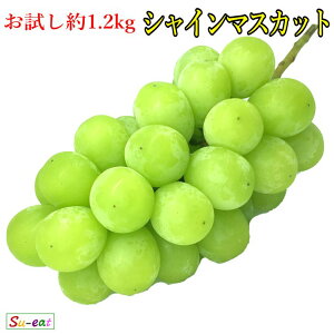 󂠂@VC}XJbg@쌧Y@1.2L@r[200~N[|