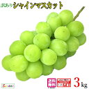 本日限定10%OFF 　シャインマスカット ぶどう　長野県産 3キロ　レビューを書いたら200円クーポン