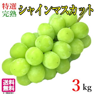 I VC}XJbg@Ԃǂ 쌧Y 3L@r[200~N[|